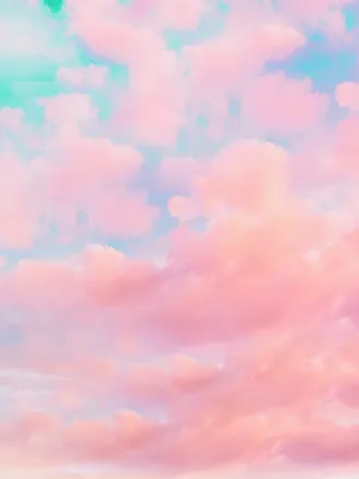 OnlyFans cuenta girlinthewild header 2