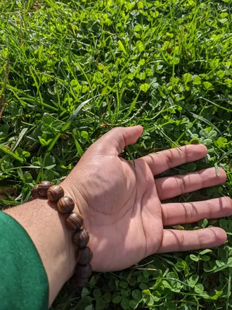 OnlyFans account  tigerdriver91 header 2