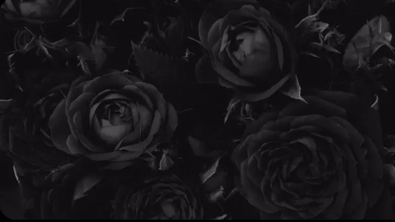 OnlyFans cuenta cee_xo header 1