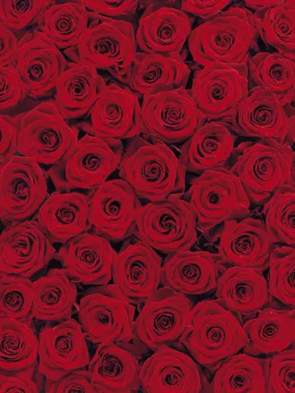 OnlyFans cuenta luvyourzxx header 2