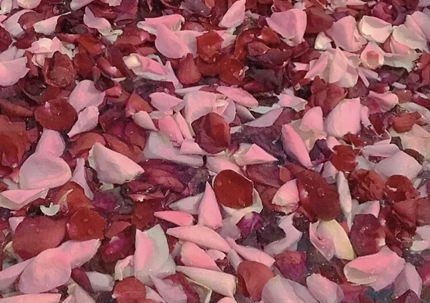 OnlyFans account  alynaa header 2