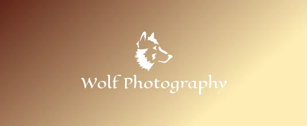 OnlyFans cuenta lone.wolf.photography header 2