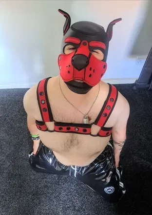 OnlyFans cuenta puppycal avatar 1
