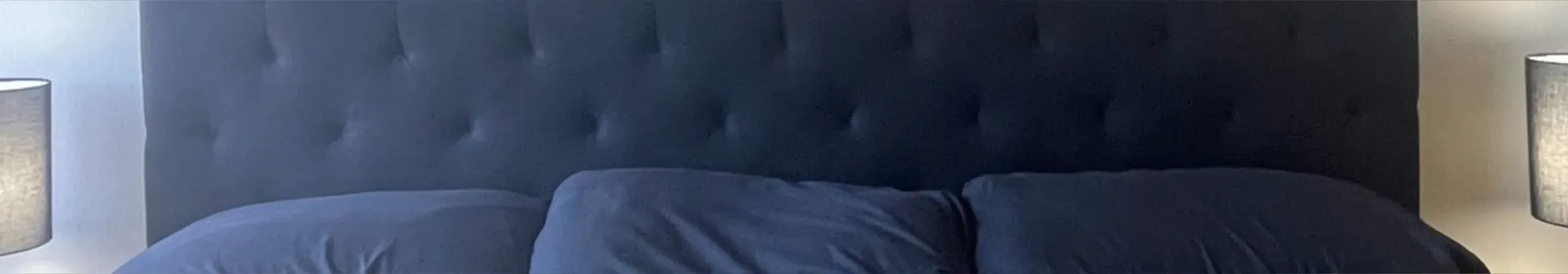 OnlyFans cuenta hugecockrandy header 2