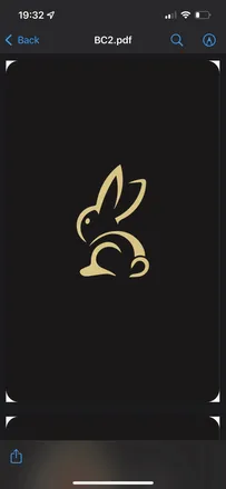 OnlyFans cuenta gooodbunnny header 2