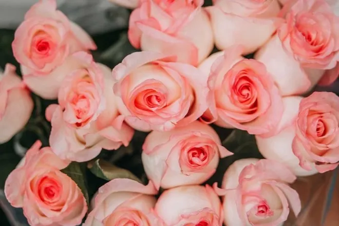 OnlyFans cuenta pettypinkrose header 2