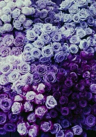 OnlyFans cuenta msmanzano header 2