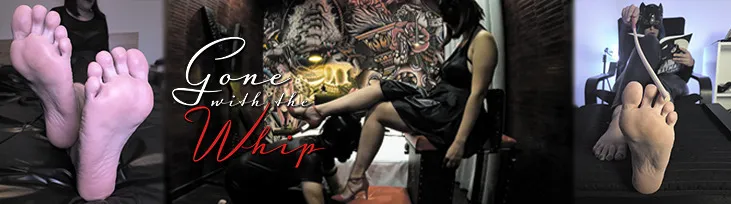OnlyFans cuenta gonewiththewhip header 2