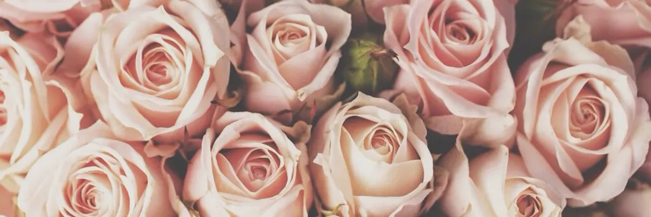 OnlyFans cuenta summerkeyes header 2