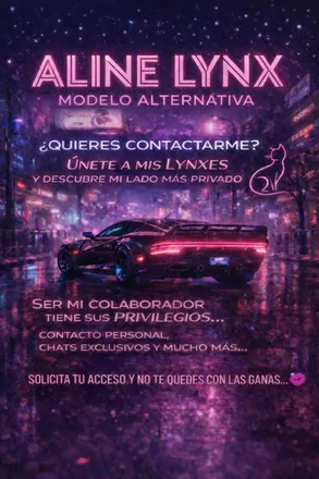 OnlyFans account  alinalynx header 2