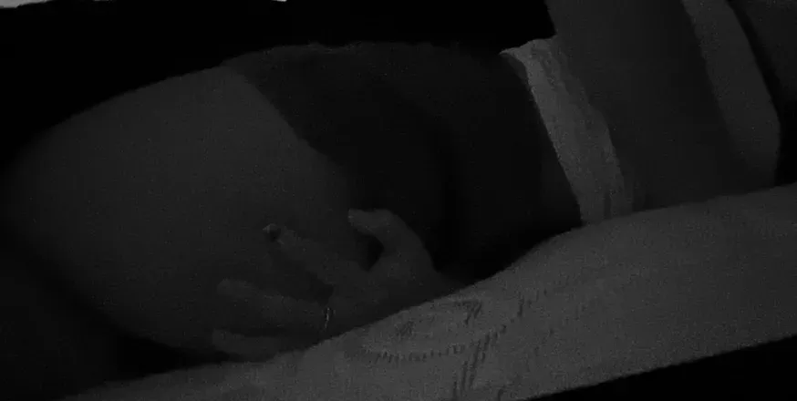 OnlyFans cuenta biscuitsnbluntz header 2