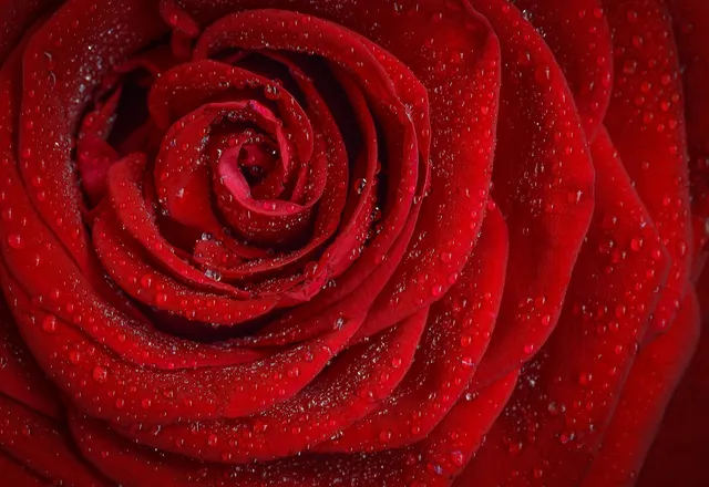OnlyFans cuenta velona header 2
