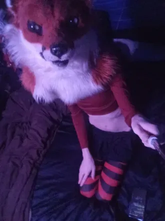 OnlyFans account  shadowthefox avatar 1