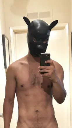 OnlyFans cuenta ozz_renard avatar 1