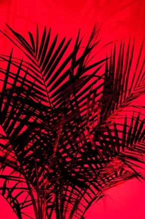 OnlyFans cuenta maskedauthority header 2
