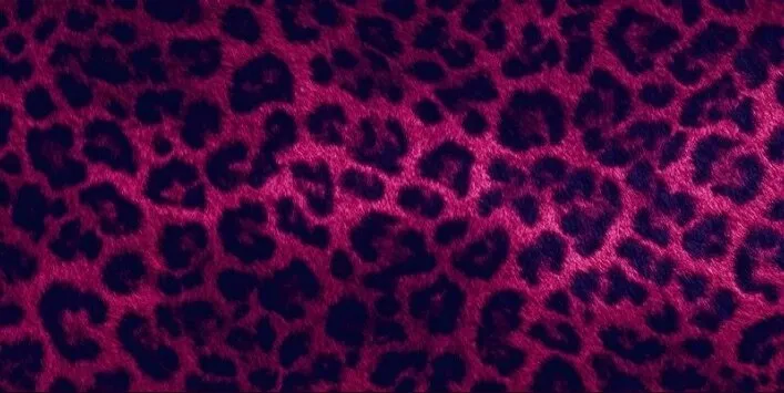 OnlyFans cuenta nuttforrme header 2