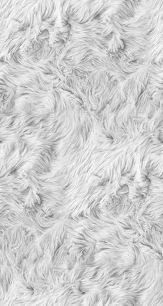 OnlyFans cuenta florciita.ok header 2