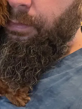 OnlyFans cuenta beardinchair avatar 1