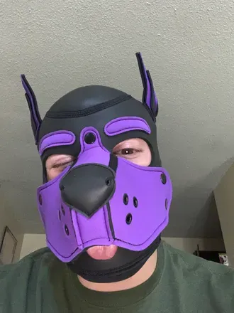 OnlyFans cuenta pupdrako avatar 1
