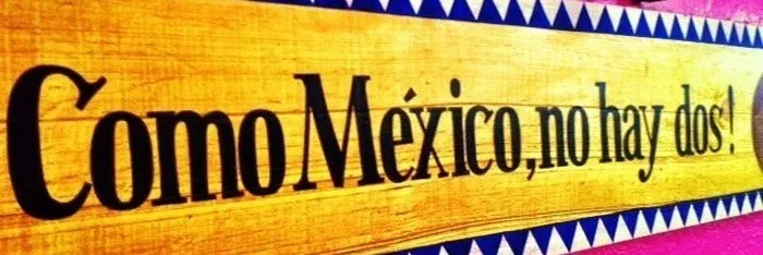 OnlyFans account  pielmexicana25 header 2