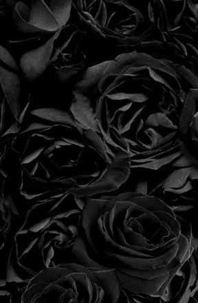 OnlyFans cuenta bunny2428 header 2