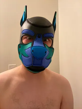 OnlyFans cuenta pup_orion avatar 1