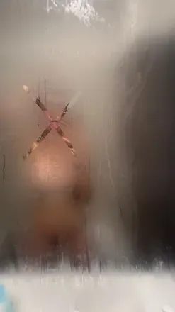 OnlyFans cuenta araak20 avatar 1