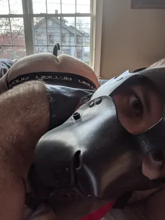 OnlyFans cuenta rubberpupteddy avatar 1