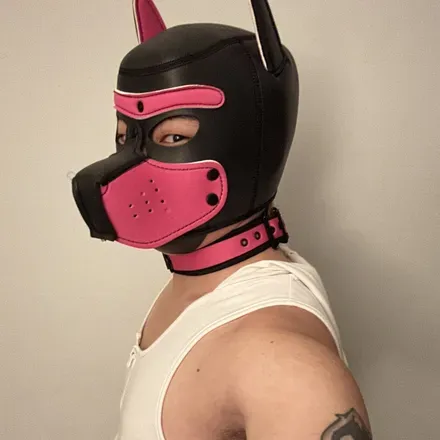 OnlyFans cuenta gaypupnerd avatar 1