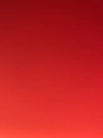 OnlyFans cuenta kingofthesportsbook header 2