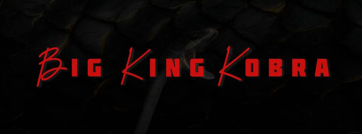 OnlyFans cuenta bigkingkobra header 2