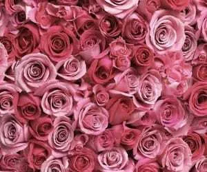 OnlyFans cuenta lolo1997 header 2