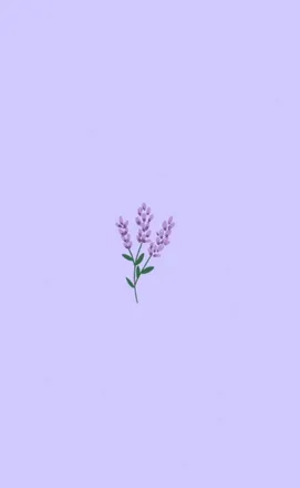 OnlyFans cuenta worshipkai header 2