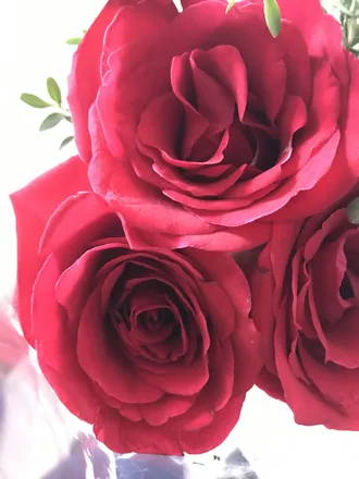 OnlyFans cuenta ninfa001 header 2