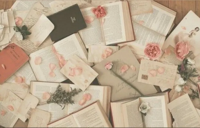 OnlyFans cuenta thelaceylibrarian header 2