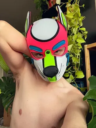 OnlyFans cuenta pupclover avatar 1
