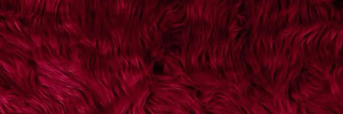 OnlyFans cuenta diorkittyxo header 2