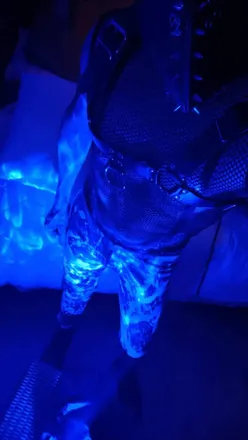 OnlyFans cuenta pantherxldk header 2