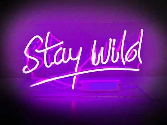 OnlyFans account  wyldwon header 2