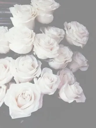 OnlyFans cuenta officialmsjrose header 2