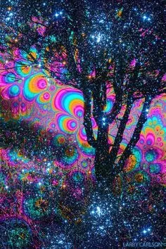 OnlyFans cuenta spacekittycat header 2