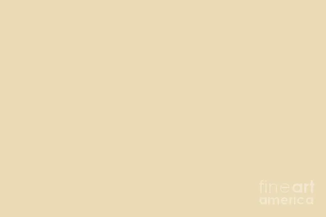 OnlyFans cuenta s1enn4lovesyou header 2