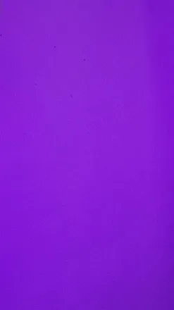 OnlyFans cuenta lilyisfemboy header 2