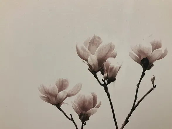 2026-01-02 photo 2