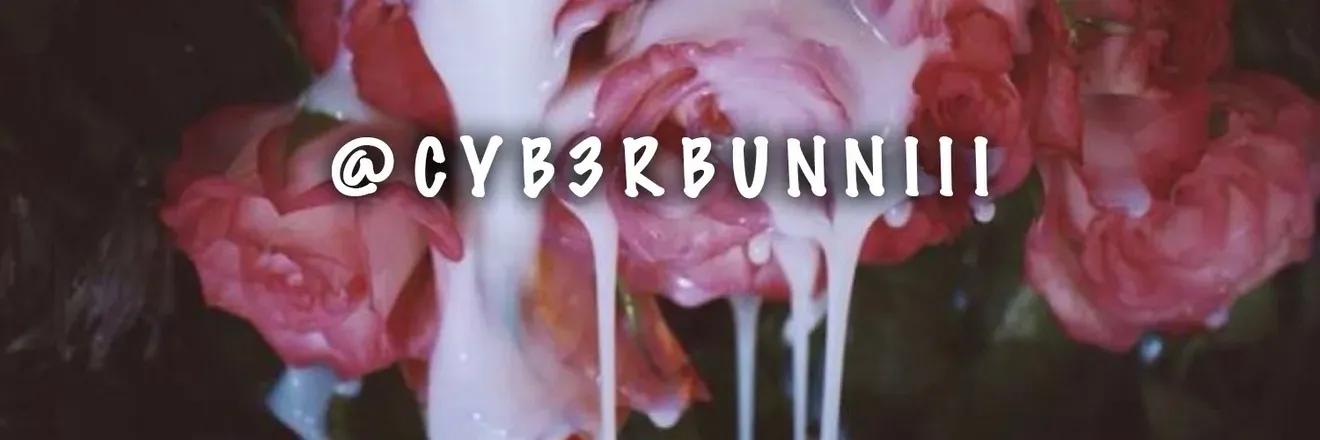 OnlyFans cuenta cyb3rbunniii header 2