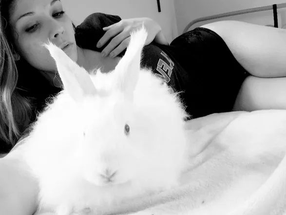 OnlyFans account  mjoyc header 2