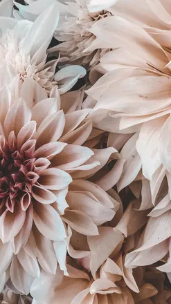 OnlyFans cuenta lou-linn header 2