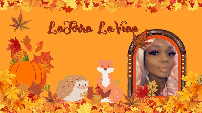 OnlyFans cuenta chefterrapink header 2