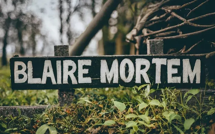 OnlyFans account  blairemortem header 2
