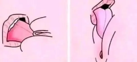 OnlyFans cuenta roddigirl header 2